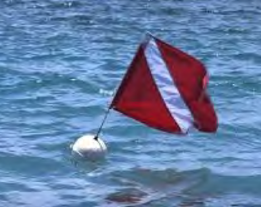 Screen Shot 2021-12-05 at 52618 AM